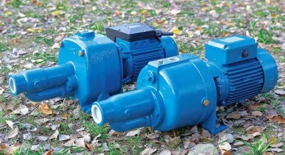 小型電気水ポンプの渦のステンレス鋼のジェット機 ポンプ高圧